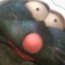 Profilbild von Zach Breene