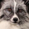 Profilbild von RaiPods