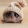 Profilbild von Christine G