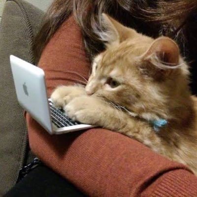 Dilo con gatitoz's profile picture
