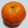 みかん🍊目指すは陽だまり profil fotoğrafı