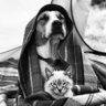Whale&Cat 城津's profile picture
