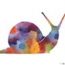 Philomedia's profile picture