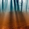 Фото профиля lightflash