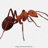 Фото профиля Mr jolear