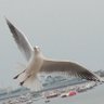 Фото профиля LSP
