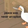 Scrutinus's profile picture