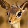 الدنيا دوراه's profile picture