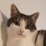 Ssamuueel's profile picture