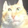 Profilbild von Mr Bubbles