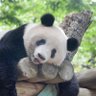 Фото профиля HIME-SAMAXiangXiang