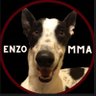 ENZO MMA's profile picture