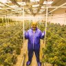 Фото профиля Mike Tyson 86