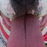 Profilbild von JSBR