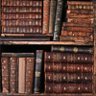 📚سليمان 的头像