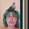 cherry tomato boy's profile picture