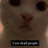 Bindi Boo's profile picture
