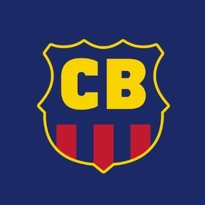 CanalBarcaBR's profile picture