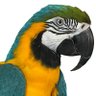 Sam Neezy 🇺🇸 profil fotoğrafı