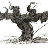 VinaterosMaule's profile picture
