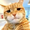 Profilbild von Mel