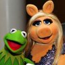 @homepiggy profil fotoğrafı