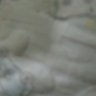 زيد جمال's profile picture