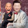 USA President Xi Jinping (PARODY) 的头像