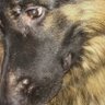Profilbild von Bodhisattwa Dasgupta