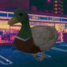 Profilbild von 🦆 美的な 𝐃𝐔𝐂𝐊 🦆