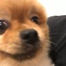 Robs B.B. Chung's profile picture