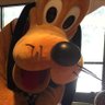 Jhn Bigbouté profil fotoğrafı
