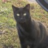 cpiddy's profile picture