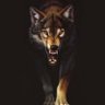 Фото профиля 💢 The Lobo Blanco 💢 🇵🇸 🇨🇺