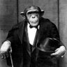 Profilbild von Psibirskiy