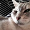 Profilbild von Fumi