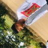 Chief Ibe🌍's profile picture