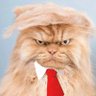 🍊Trump Won TWICE and 3rd time! 的头像