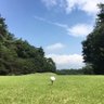 リンこけ 的头像