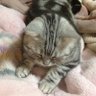 知足 profil fotoğrafı