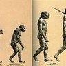 Evolución 的头像