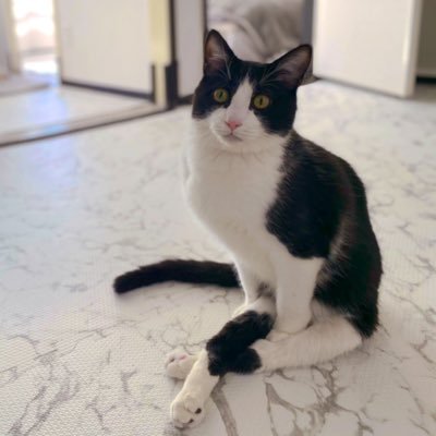 下半身麻痺のハチ's profile picture