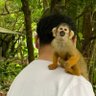 さとさとし 的头像