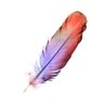 Profilbild von Perce
