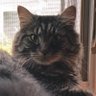 Free4ever profil fotoğrafı