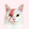 Profilbild von Alex
