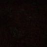 Allen's profile picture