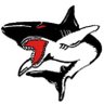 Steeljawscribe 🦈🖌️🇺🇸🇺🇦 的头像