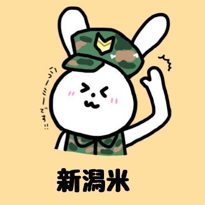 新潟米🍖🎹's profile picture