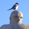 Mucken's profile picture
